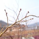 선은농장(1) 네이버블로그