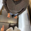 와썹멍 | 나고야에 갈고야