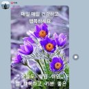 4월 : 사당행