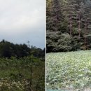 삼척산양농산촌체험마을 이미지