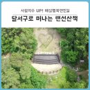 배실(상)공원 웨딩 이미지