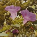 방이수약국 이미지