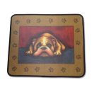 컴페니온 이미지