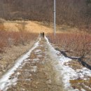 대야농장 이미지