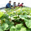 곰치2농장 이미지