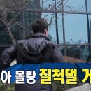 로지토라