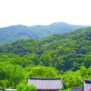 [안성] 도깨비 촬영지로 유명한 안성 절 '석문사' 방문 후기