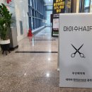 마이수헤어