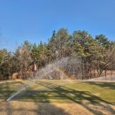 인동가산로2R-18 | 대구 근교 가성비 파3 골프장💚 실내연습장까지 있는 가산골프!