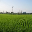 상리정미소 이미지