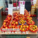 그린앤프레쉬