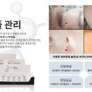 피피(PP) 이미지