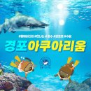 경포아쿠아리움박물관 이미지