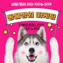 더블유동물병원 이미지