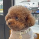 다니엘 동물병원 이미지