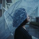 헤어뉴(HAIR NEW) 이미지