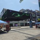 범계 숙성회 맛집 범계횟집 남해물고기 사시미 오마카세 한상 후기