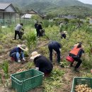 부산면 행정복지센터 이미지