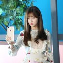 공카 이미지