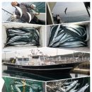 선상상회