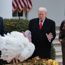 재임농장 이미지