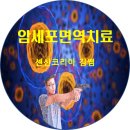 센신 이미지