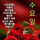 수요일 - 종로구 인사동길 36 | 수요일
