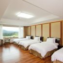 드라곤레이크CC 이미지