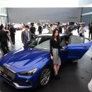 제네시스 이미지