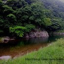 정남진한옥민박 이미지