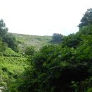 진동산막 이미지