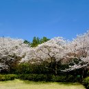 왕인박사유적지 이미지