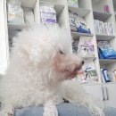 해피올동물병원 이미지