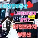 대전부동산정보행정사공인중개사무소 | LH 예비신혼부부 신혼·신생아 전세임대 계약 과정, 대전 탄방동 프라자부동산 통해 든든하게 계약한 후기