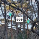 장평동 398-20 ~ 장평동 398-1일원 | # 울진 변함없는 불영사, 봉화 산타마을