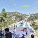 소유농원 | 영천 새각단농원의 장가계여행 4일차 후기