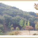 도음산 산림문화수련장 이미지