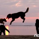 우리네축산 이미지