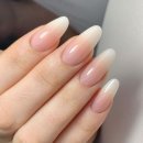 네일스테디
