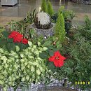 감귤박물관 이미지