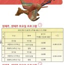 꼭두박물관 이미지