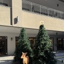 할매손충무김밥롯데스퀘어점 | [동부산 롯데아울렛 밥집]다양한 음식이 있는 푸드코트, 테이스티 그라운드 내돈내산 후기