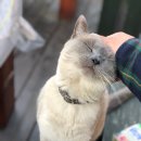 미산힐링 이미지