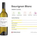 Wine Maria(와인마리아)