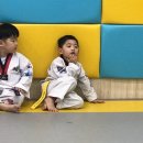 서초용인대태권도 이미지