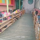 석성숲유치원 스포츠경향