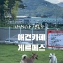 게르메스 이미지