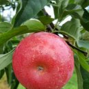 산림생태문화체험단지 이미지