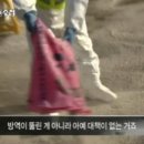 파주양돈단지(2) Daum카페