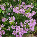 DMZ 펜션 이미지